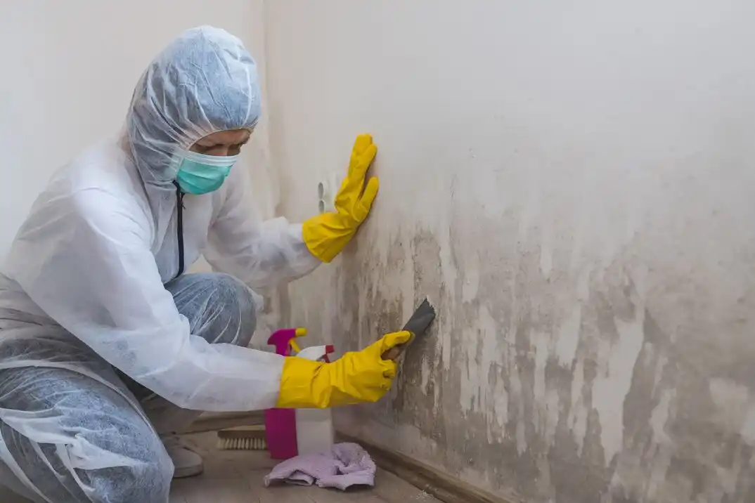water damage restoration service Jester Farms
